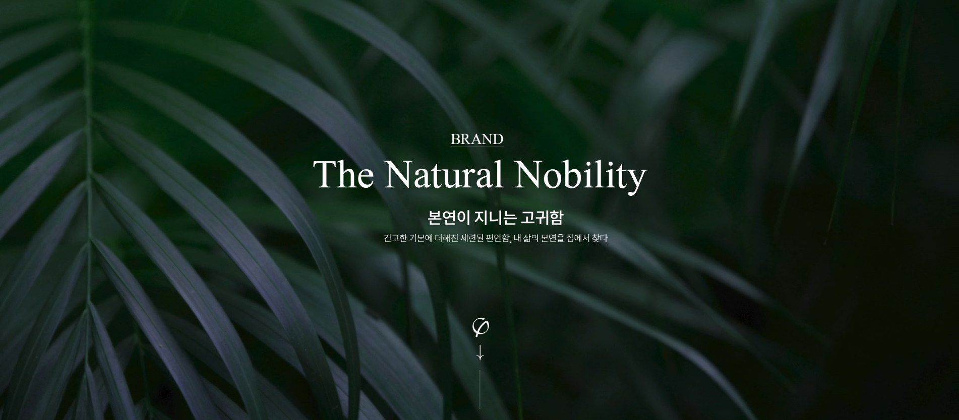 KakaoTalk_20250305_135125358.png